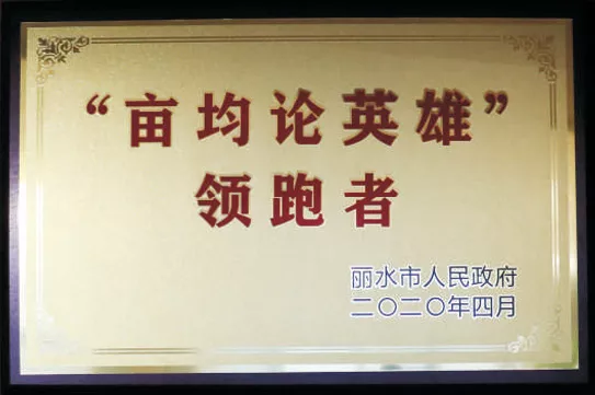 亩均论英雄领跑者
